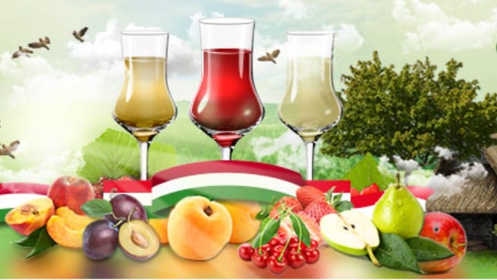 Az otthoni pálinkafőzés alapjai: így készítsd el saját pálinkádat