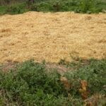 A kertesház felkészítése a télre.